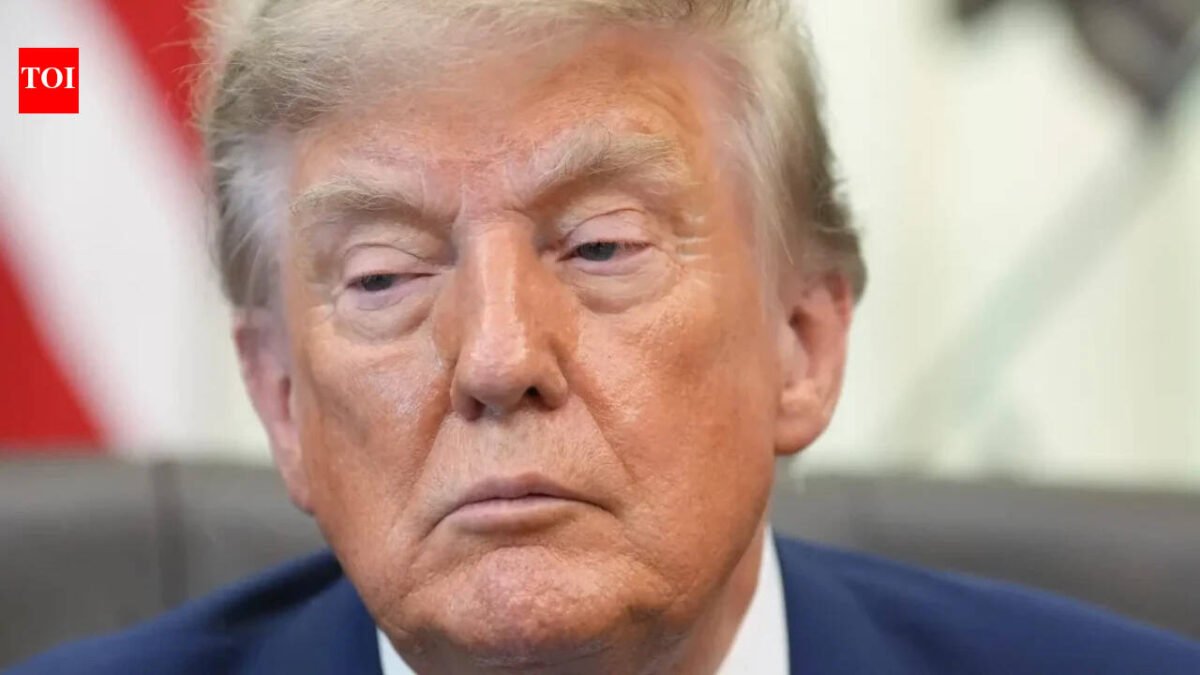 ‘Seeking end to sanctions regime’: US human rights groups sue Trump over ICC crackdown