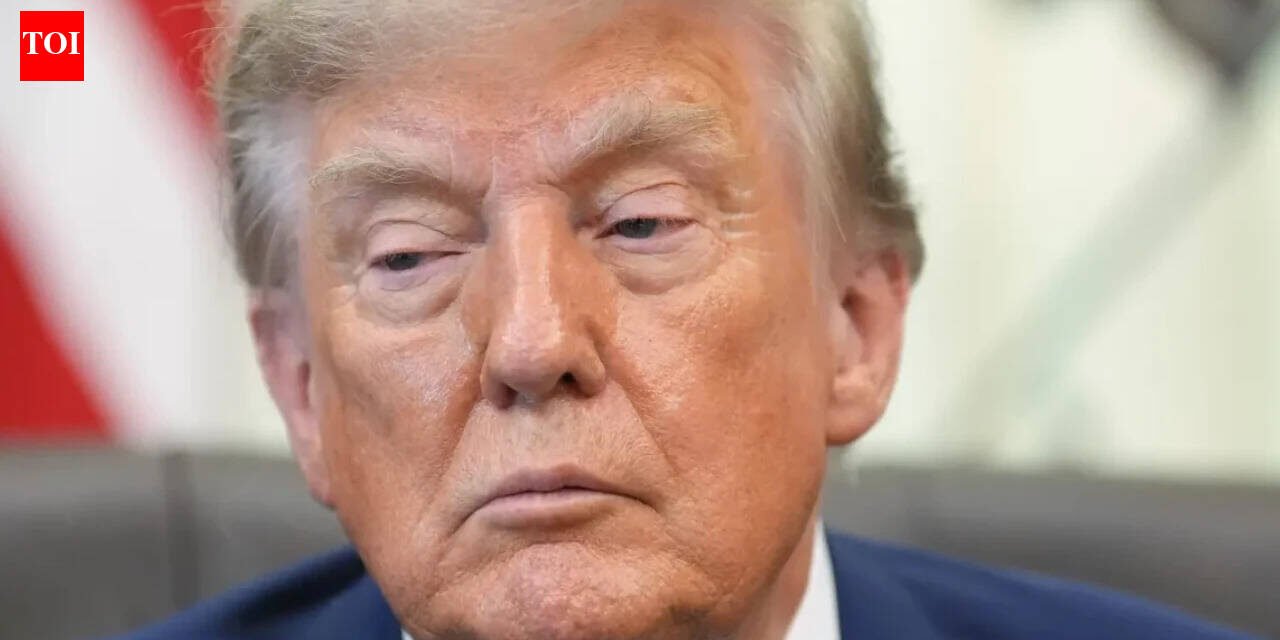 ‘Seeking end to sanctions regime’: US human rights groups sue Trump over ICC crackdown