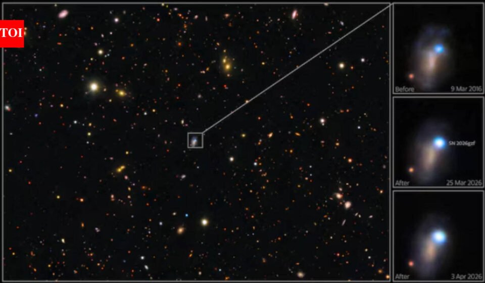 Astronomers caught the first sign of a star 30 times more massive than the Sun exploding, then tracked its supernova for nearly three months