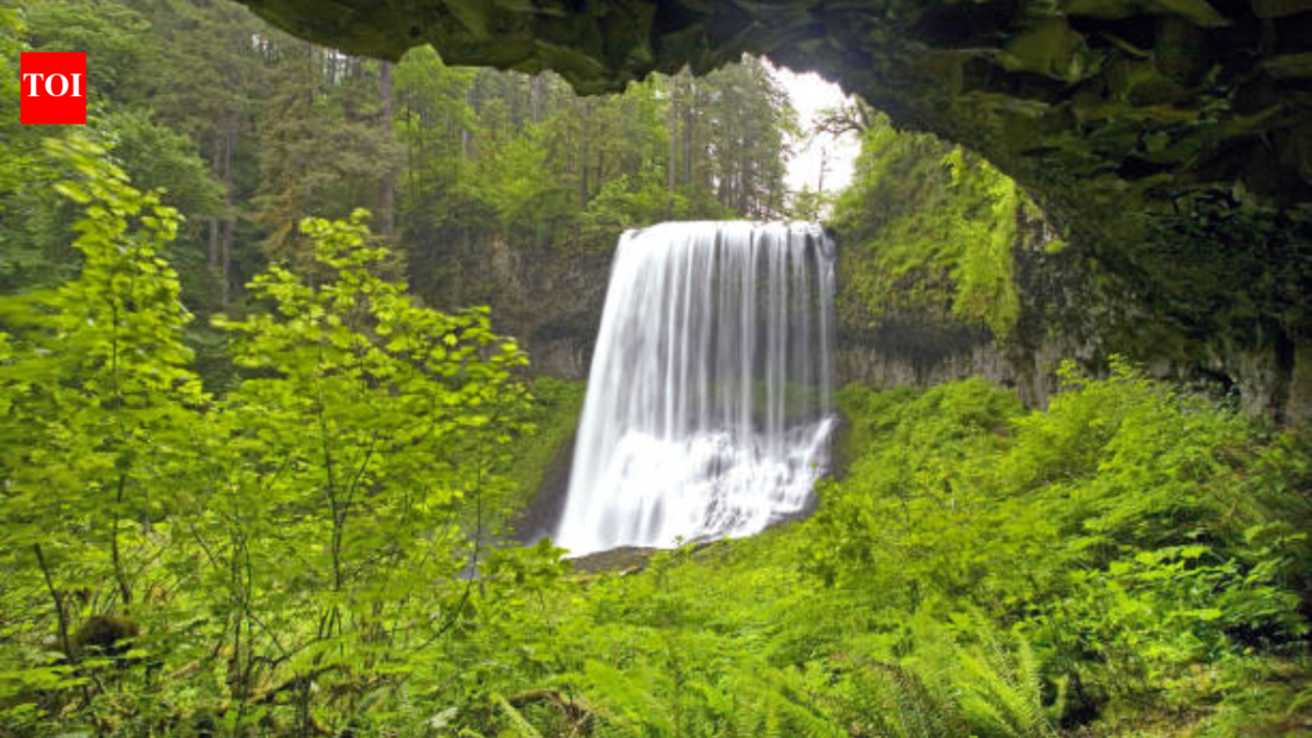 <b>20-year-old tourist dies in US after falling from 170-feet waterfall while posing for photos</b>
