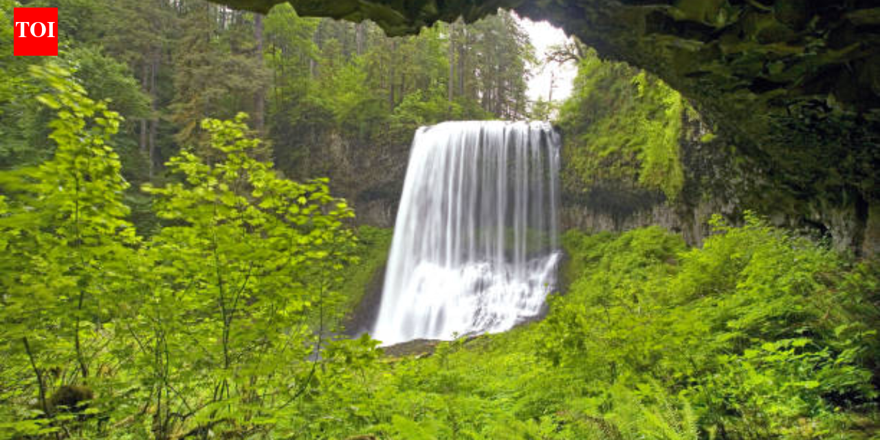 <b>20-year-old tourist dies in US after falling from 170-feet waterfall while posing for photos</b>