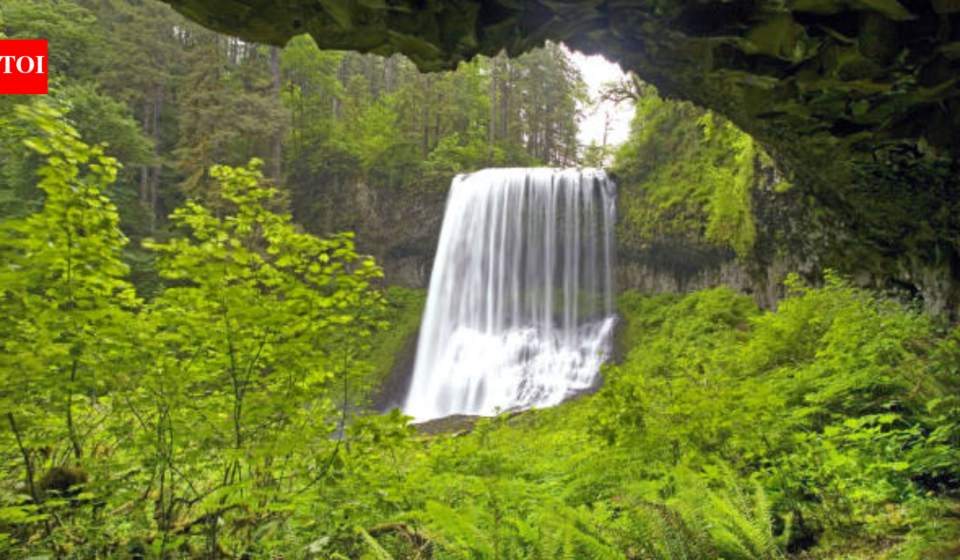 <b>20-year-old tourist dies in US after falling from 170-feet waterfall while posing for photos</b>