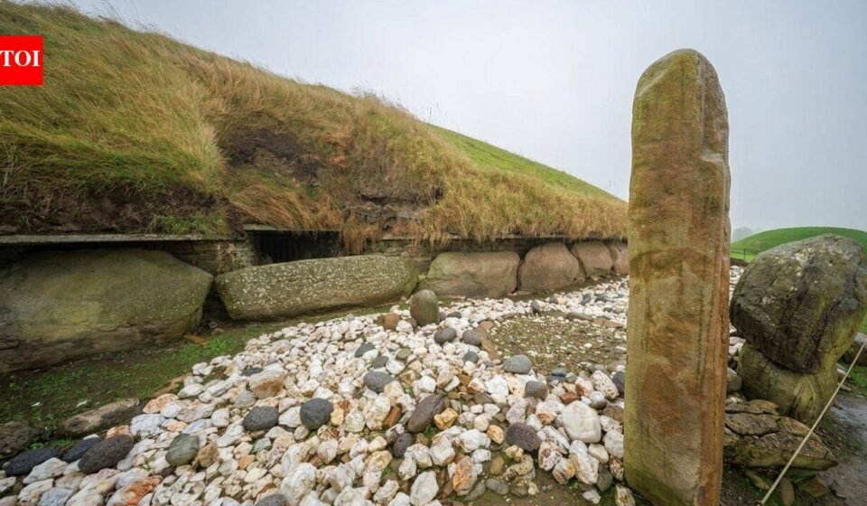 Archeologists discovered 7,000-year-old Neolithic burial grounds in France using electrical surveys
