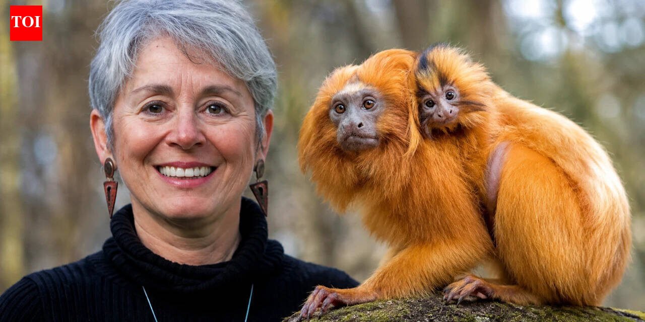 The golden lion tamarin seen on a R$20 banknote nearly vanished from Brazil: Zoologist Devra Kleiman helped bring it back