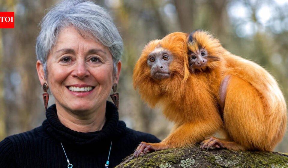 The golden lion tamarin seen on a R$20 banknote nearly vanished from Brazil: Zoologist Devra Kleiman helped bring it back