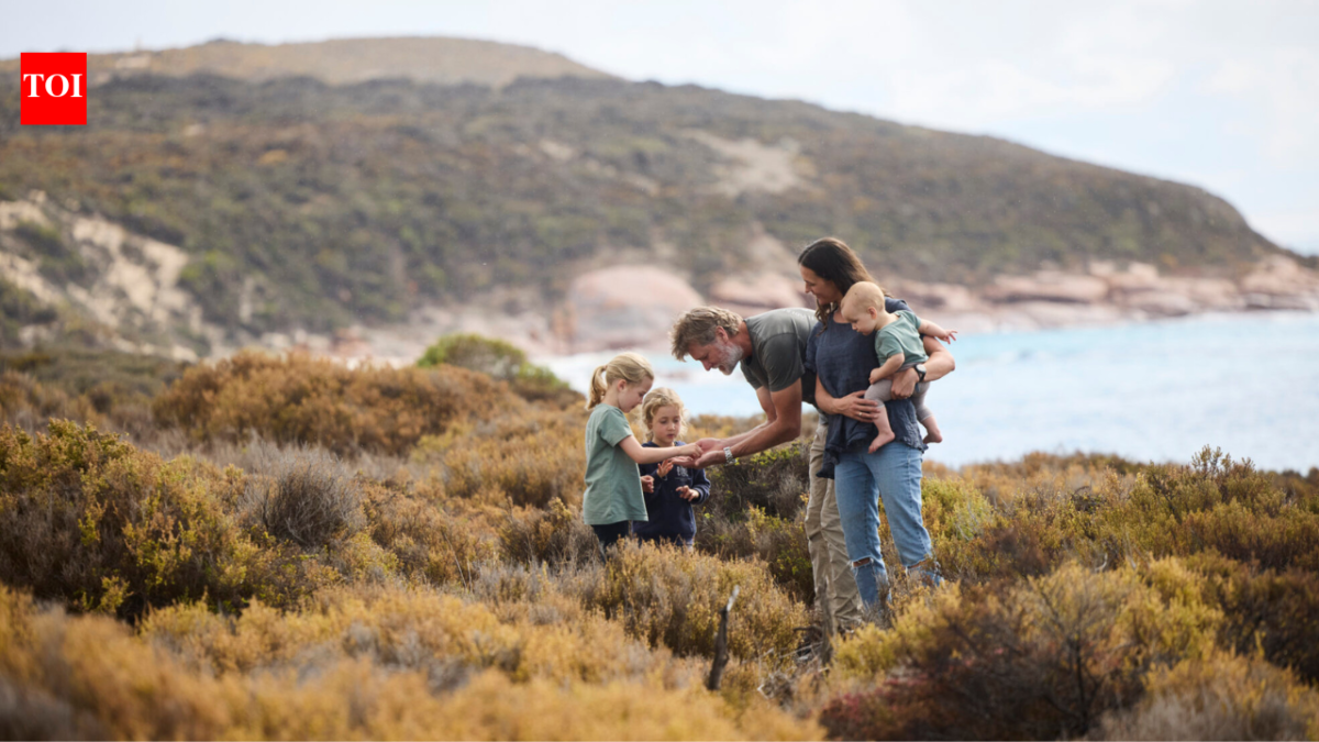 Australian family bought a remote island to run a sheep farm, now they are turning it into a $4.8 million conservation sanctuary for endangered wildlife