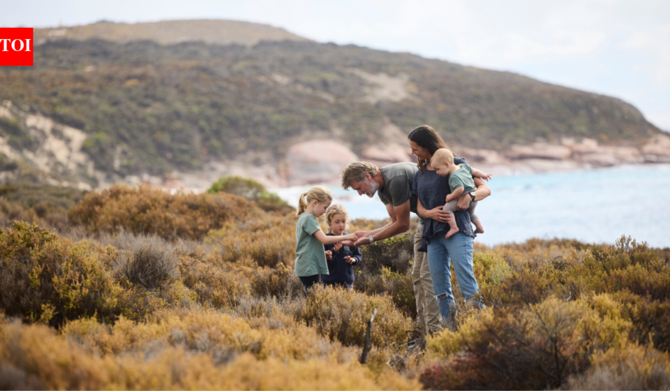Australian family bought a remote island to run a sheep farm, now they are turning it into a $4.8 million conservation sanctuary for endangered wildlife