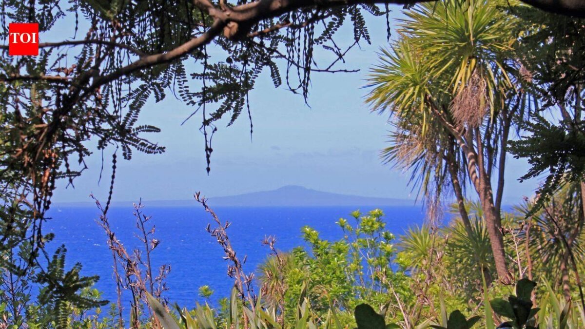 How 280,000 volunteer-planted trees transformed New Zealand's Tiritiri Matangi from a degraded island into a conservation sanctuary