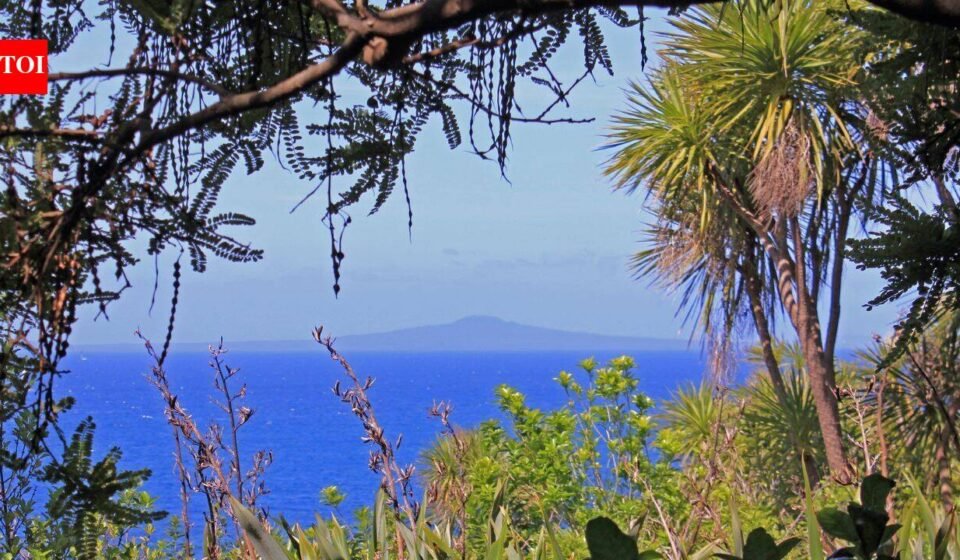 How 280,000 volunteer-planted trees transformed New Zealand's Tiritiri Matangi from a degraded island into a conservation sanctuary