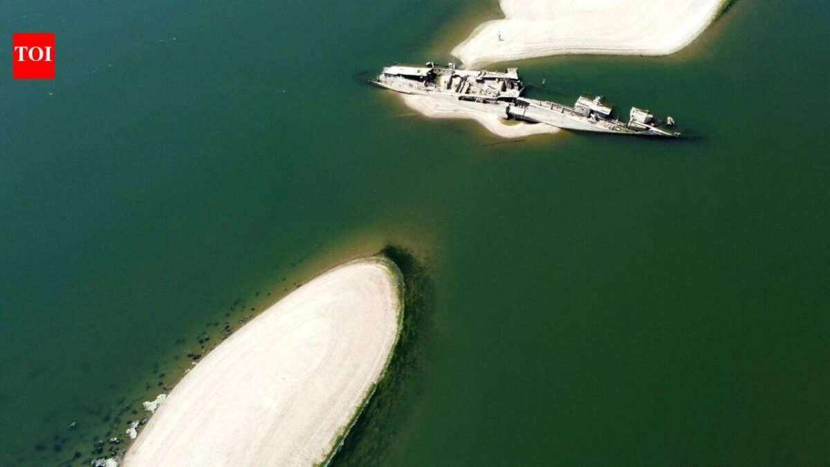 Danube River reveals Nazi warships hidden underwater for 80 years: Record-low water levels are exposing the World War II wrecks near Serbia