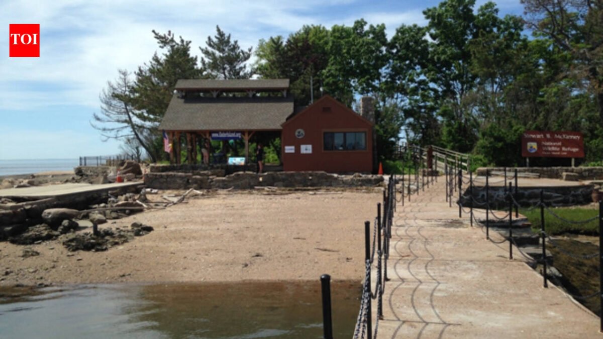 In 1964, Elizabeth Hird and her husband bought Connecticut's Outer Island; in 1995 she donated it in his memory so it could remain protected for wildlife, research and education