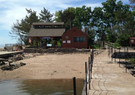 In 1964, Elizabeth Hird and her husband bought Connecticut's Outer Island; in 1995 she donated it in his memory so it could remain protected for wildlife, research and education