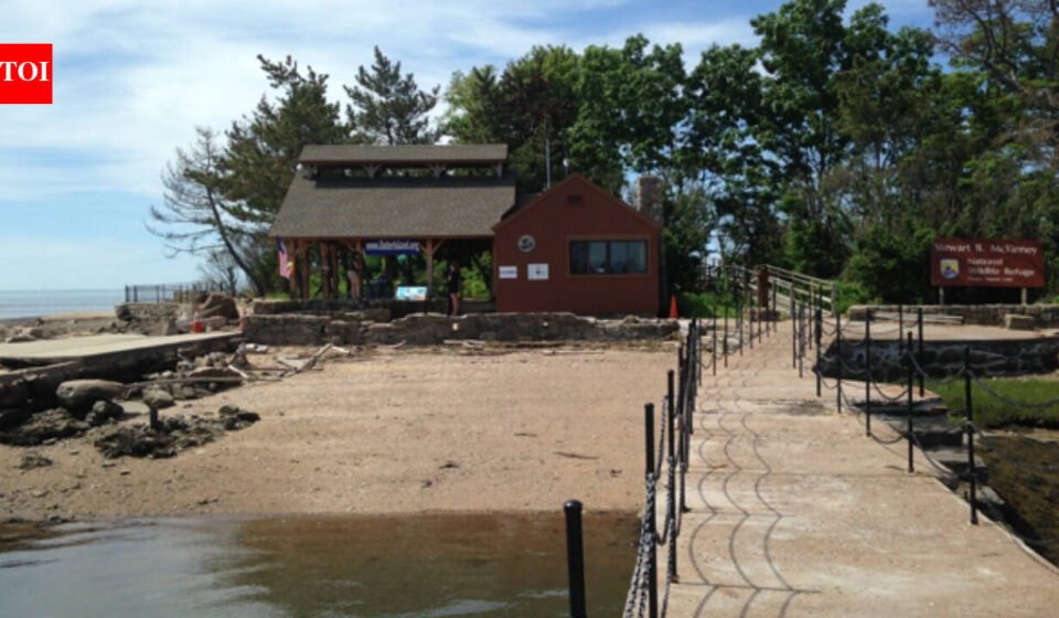 In 1964, Elizabeth Hird and her husband bought Connecticut's Outer Island; in 1995 she donated it in his memory so it could remain protected for wildlife, research and education