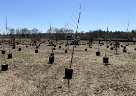 A 112-acre New Jersey restoration project is planting about 50,000 native trees and shrubs, creating vernal pools and rebuilding Raritan River floodplain habitat