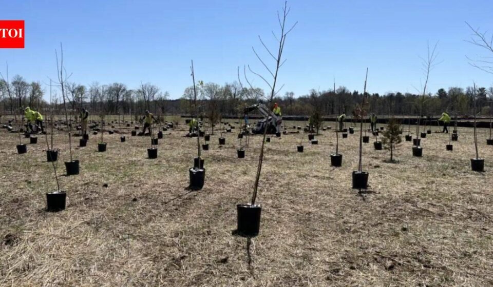 A 112-acre New Jersey restoration project is planting about 50,000 native trees and shrubs, creating vernal pools and rebuilding Raritan River floodplain habitat