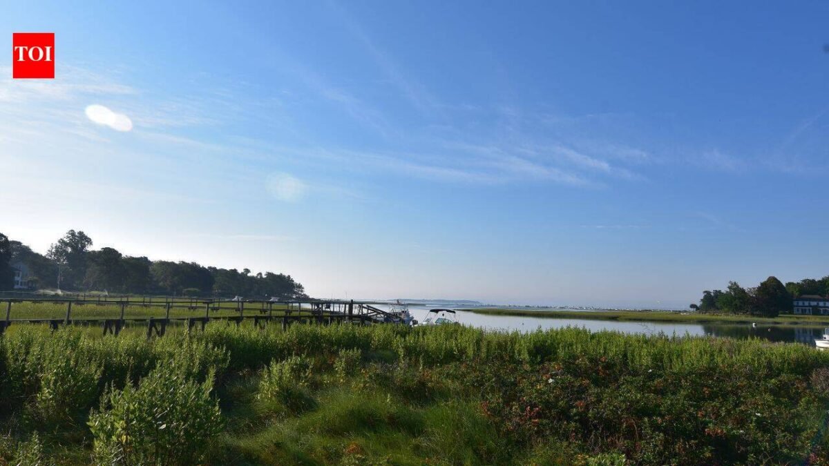 In 2012, conservationists began working to remove an obsolete Massachusetts dam; 14 years later, demolition started to reconnect 7 miles of stream and restore 6 acres of wetland