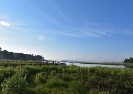 In 2012, conservationists began working to remove an obsolete Massachusetts dam; 14 years later, demolition started to reconnect 7 miles of stream and restore 6 acres of wetland