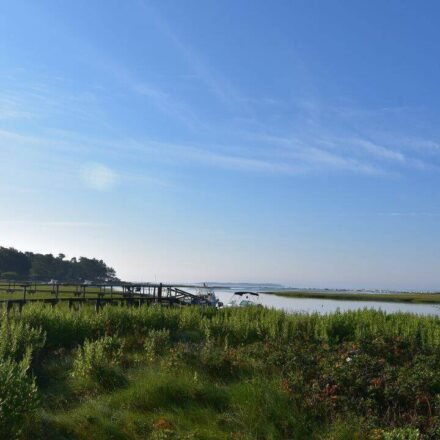 In 2012, conservationists began working to remove an obsolete Massachusetts dam; 14 years later, demolition started to reconnect 7 miles of stream and restore 6 acres of wetland