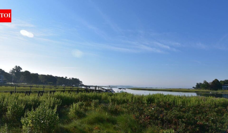 In 2012, conservationists began working to remove an obsolete Massachusetts dam; 14 years later, demolition started to reconnect 7 miles of stream and restore 6 acres of wetland