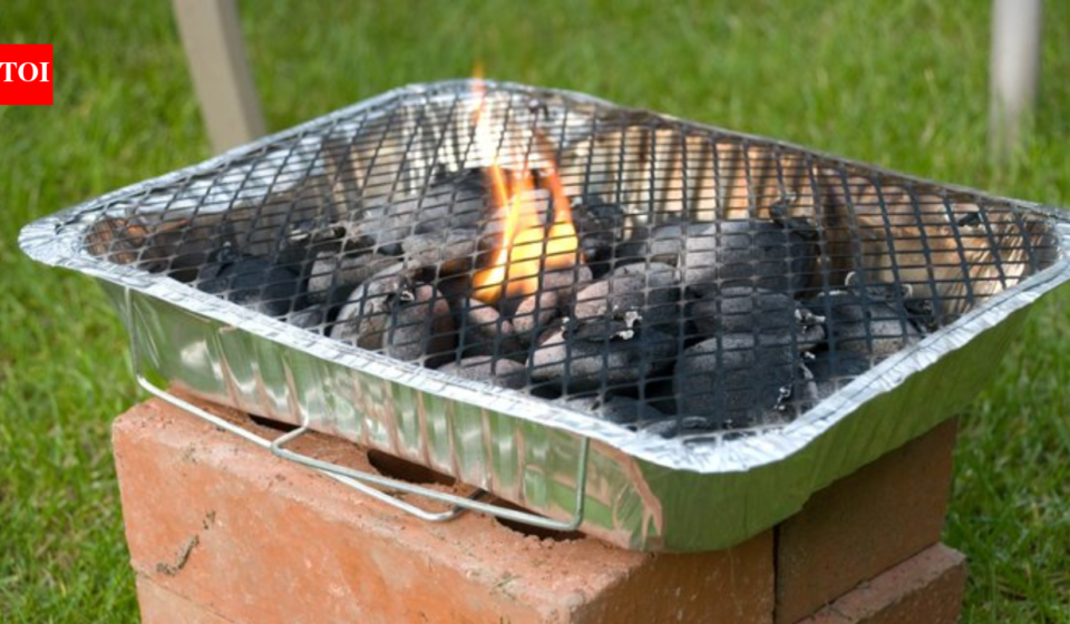<b>UK govt temporarily bans sale of disposable barbecues amid rising wildfire risk</b>