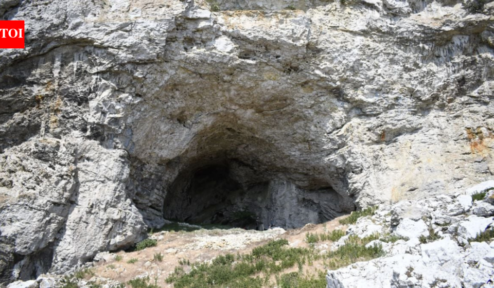 Archaeologists found a young woman, believed to be 14 to 19, buried with a 32-to 34-week fetus in a Swedish cave; the remains may be up to 9,500 years old