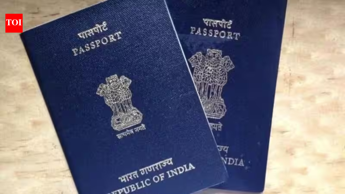 'I don’t feel rooted here': Indian couple in Ireland to return to Pune after 11 years, citing AI pressure and job stress