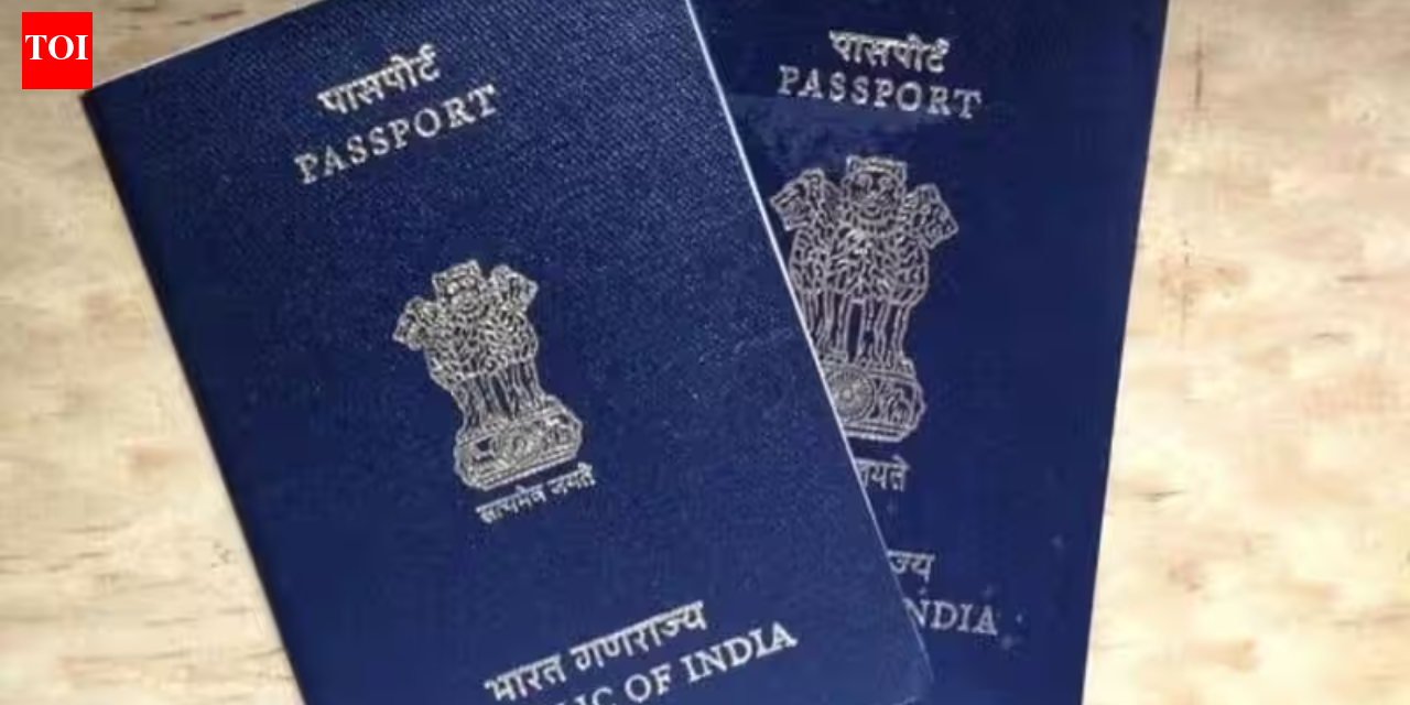'I don’t feel rooted here': Indian couple in Ireland to return to Pune after 11 years, citing AI pressure and job stress
