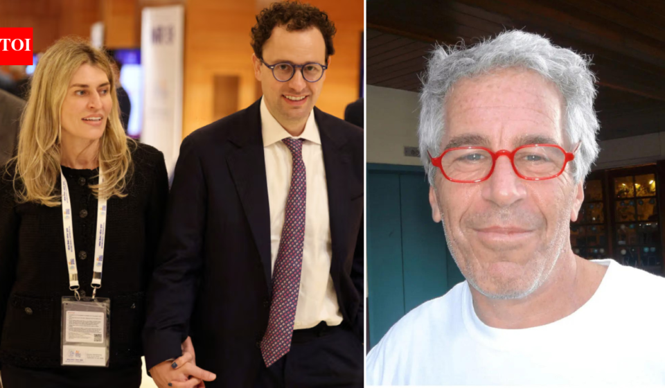 'Luxury porn' pitch to Epstein: Anthropic CEO's wife Cami Clark's ties surface