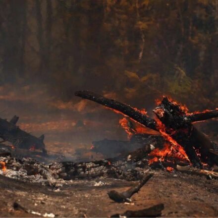 One week of extreme heat in Europe linked to 16,000 excess deaths: Report