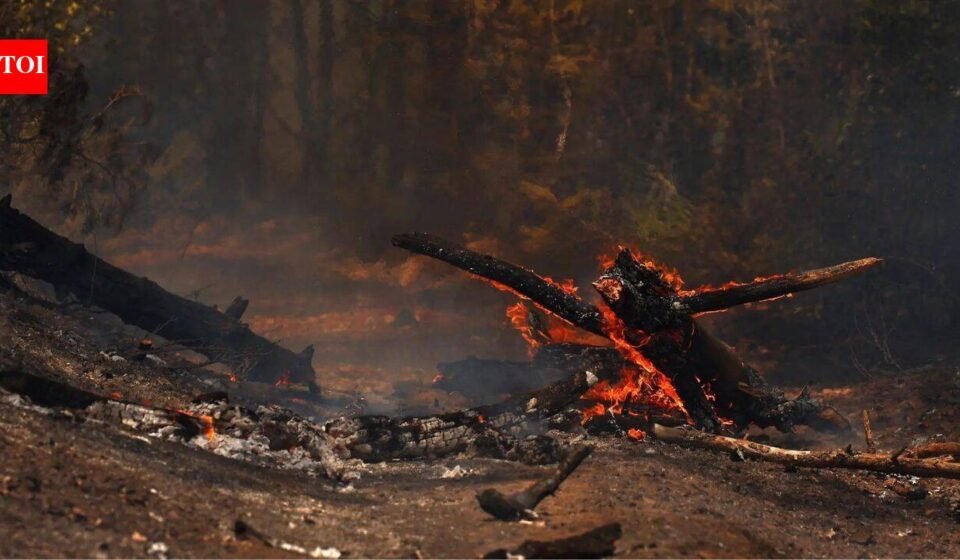 One week of extreme heat in Europe linked to 16,000 excess deaths: Report