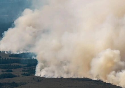 3,000 hectares up in flames: Belgium battles its biggest wildfire on record