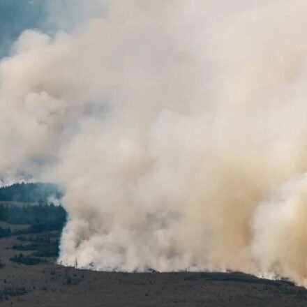 3,000 hectares up in flames: Belgium battles its biggest wildfire on record