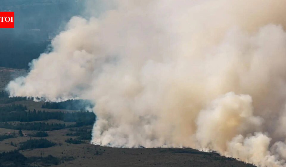 3,000 hectares up in flames: Belgium battles its biggest wildfire on record