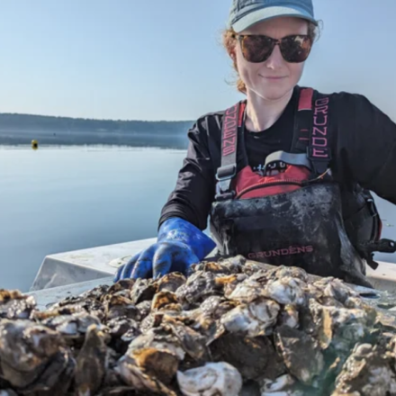 A Maine oyster farm is testing a solar-powered floating conveyor that moves oyster baskets through water and air; one raft is designed for 125,000 oysters a year