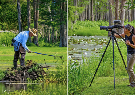 A Florida couple bought a 45-acre swamp to protect it from development; 15 years later, 275 wood storks were nesting there in a thriving ecosystem filled with wildlife