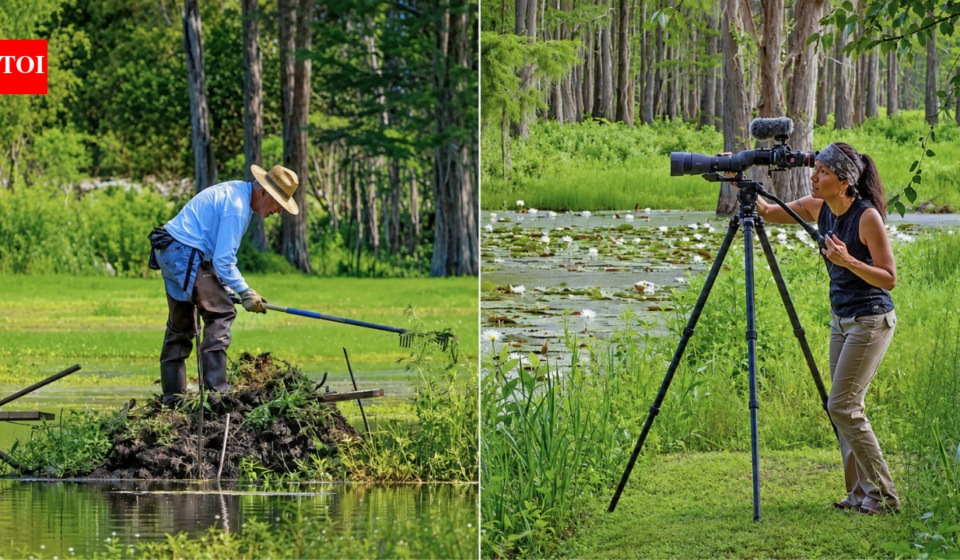 A Florida couple bought a 45-acre swamp to protect it from development; 15 years later, 275 wood storks were nesting there in a thriving ecosystem filled with wildlife