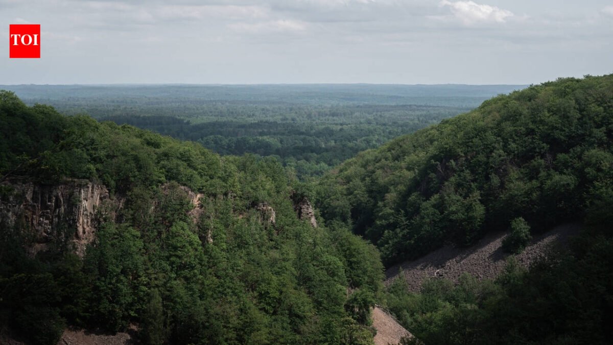 Much of Sweden's Söderåsen plateau became more open in the 18th and 19th centuries; in 2001, 1,625 hectares were protected as a national park, and today it is one of northern Europe's largest continuous protected broadleaf forests