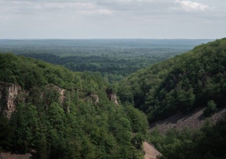Much of Sweden's Söderåsen plateau became more open in the 18th and 19th centuries; in 2001, 1,625 hectares were protected as a national park, and today it is one of northern Europe's largest continuous protected broadleaf forests