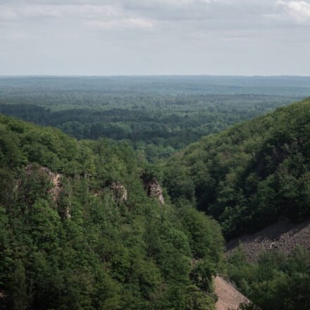 Much of Sweden's Söderåsen plateau became more open in the 18th and 19th centuries; in 2001, 1,625 hectares were protected as a national park, and today it is one of northern Europe's largest continuous protected broadleaf forests
