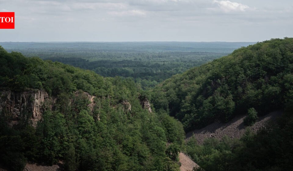 Much of Sweden's Söderåsen plateau became more open in the 18th and 19th centuries; in 2001, 1,625 hectares were protected as a national park, and today it is one of northern Europe's largest continuous protected broadleaf forests