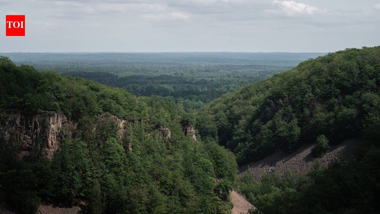 Much of Sweden's Söderåsen plateau became more open in the 18th and 19th centuries; in 2001, 1,625 hectares were protected as a national park, and today it is one of northern Europe's largest continuous protected broadleaf forests