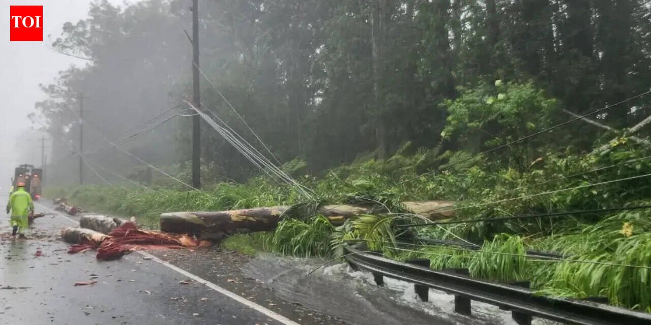 Tropical Storm Lala moves away from Hawaii, leaves trail of damage and lakhs without power