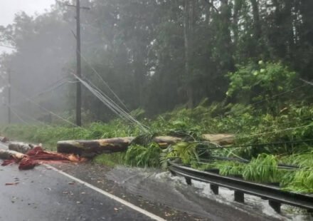 Tropical Storm Lala moves away from Hawaii, leaves trail of damage and lakhs without power