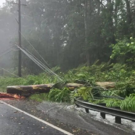 Tropical Storm Lala moves away from Hawaii, leaves trail of damage and lakhs without power