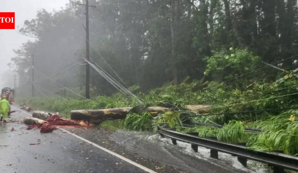 Tropical Storm Lala moves away from Hawaii, leaves trail of damage and lakhs without power