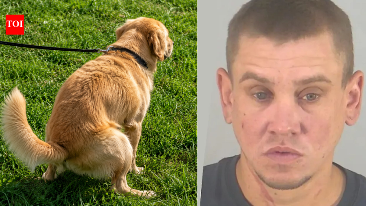 Florida man arrested after throwing dog poop at neighbour over uncleared mess and threatening him with a child’s scooter