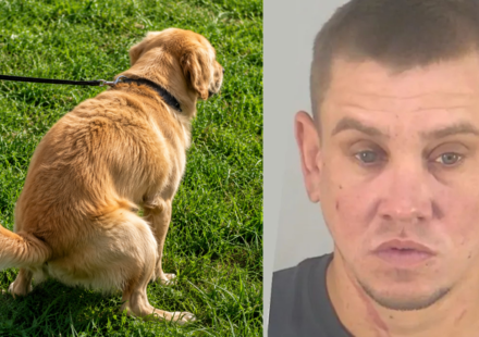 Florida man arrested after throwing dog poop at neighbour over uncleared mess and threatening him with a child’s scooter
