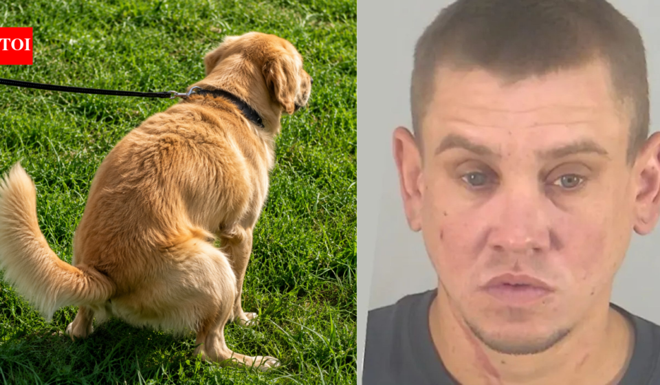 Florida man arrested after throwing dog poop at neighbour over uncleared mess and threatening him with a child’s scooter