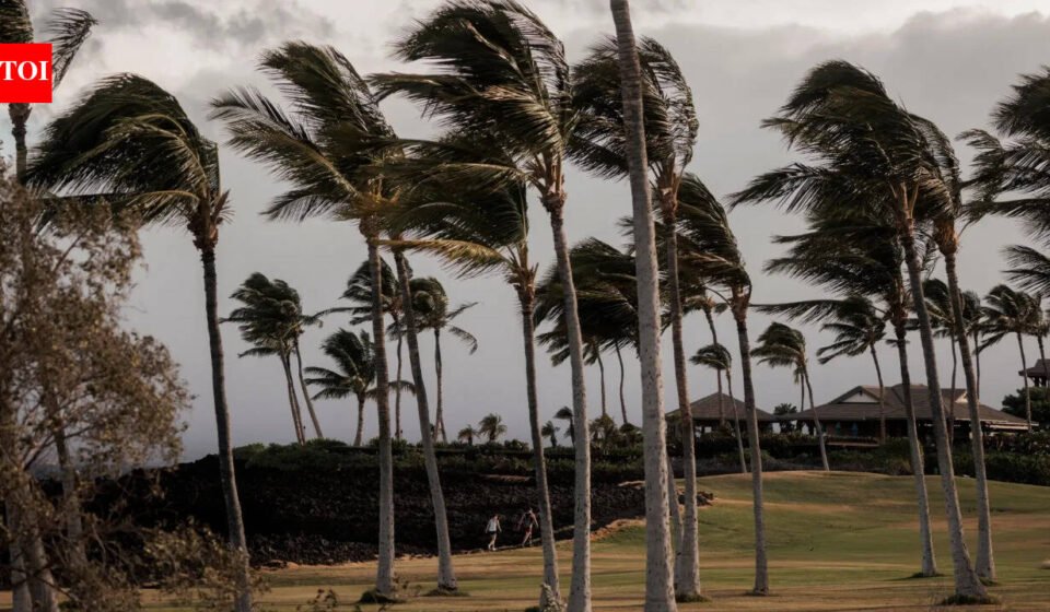 Tropical Storm Lala in Hawaii: Roads collapse, 100 homes swept away, no power, mobile service; 1 dead