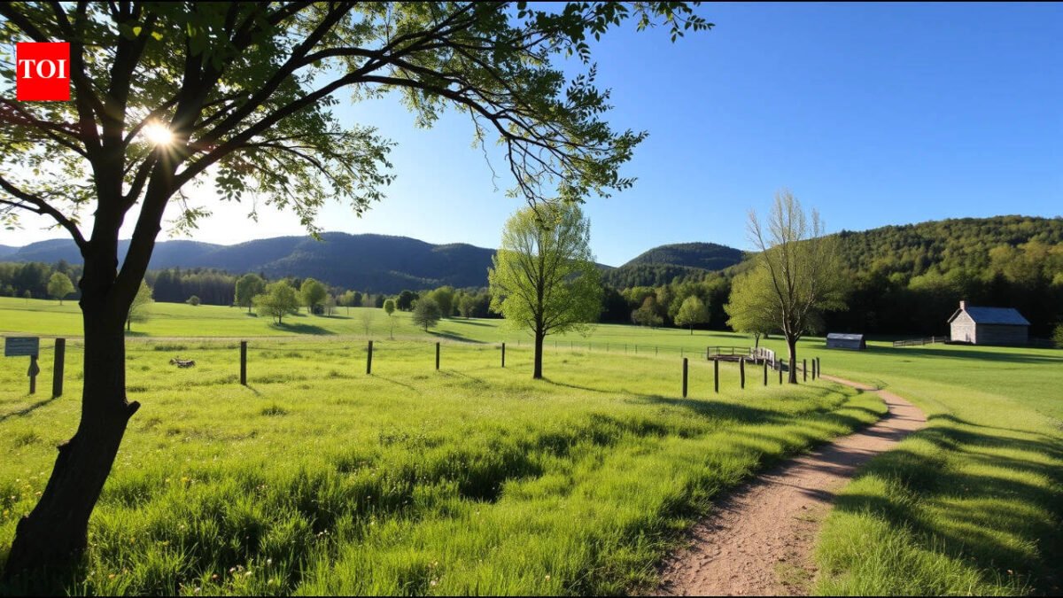 In 1944, a Vermont woman used money meant for a fur coat to buy a 150-acre farm; 20 years later she gave it to Audubon for wildlife conservation